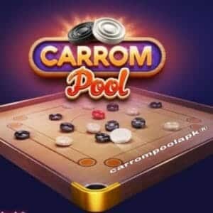 Carrom Pool